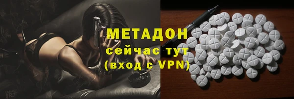 стаф Алзамай