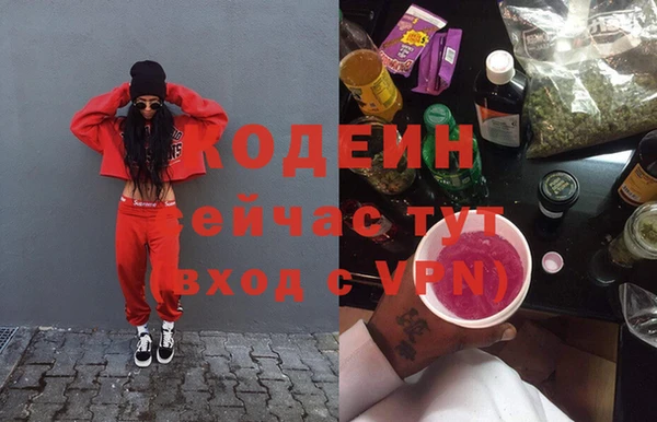 стаф Алзамай