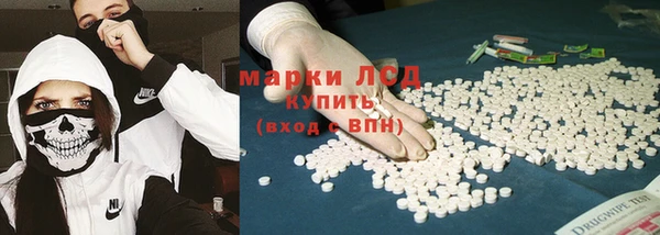 стаф Алзамай