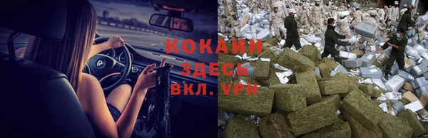 мяу мяу мука Алексин