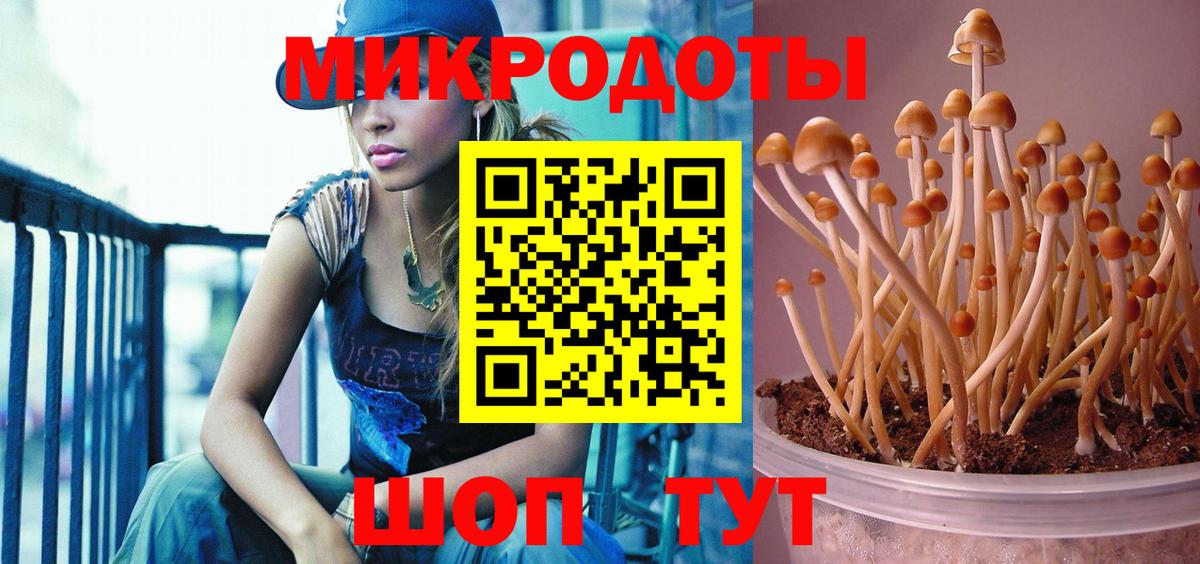 Галлюциногенные грибы Cubensis  хочу   Псилоцибиновые грибы GOLDEN TEACHER  Мытищи  Вход с VPN 