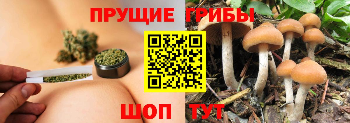 Псилоцибиновые грибы мухоморы Мытищи